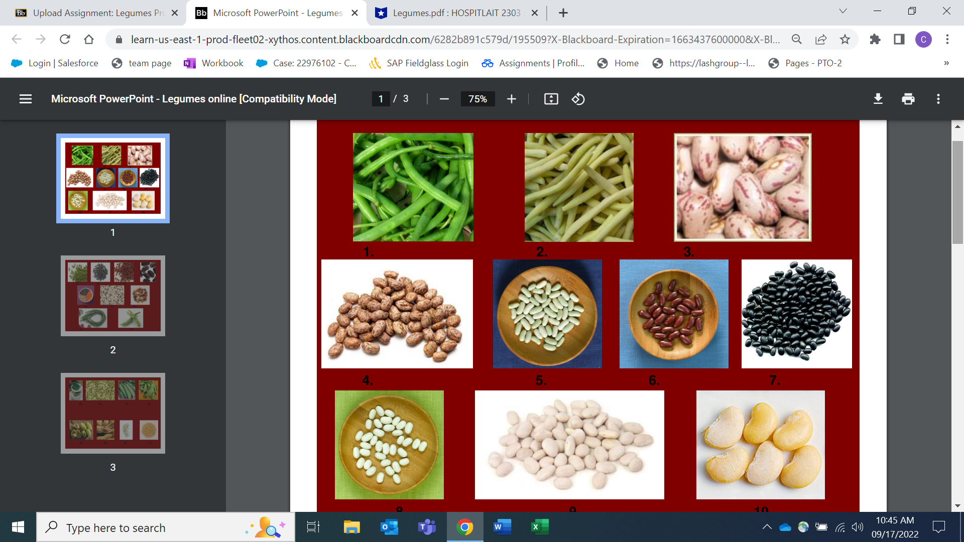  Bb Upload Assignment: Legumes Prc X Bb Microsoft PowerPoint - Legumes