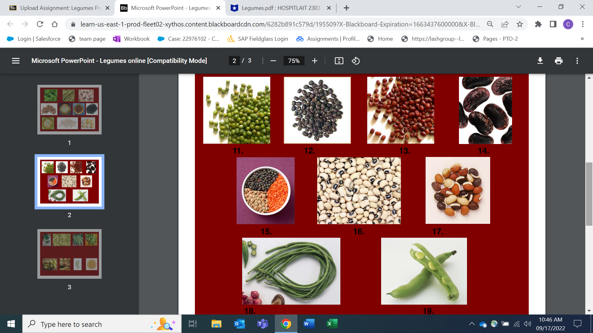 X *Legumes.pdf : HOSPITLAIT 2303 X + V X C D learn-us-east-1-prod-fleet02-xythos.content.blackboardcdn.com/62826891c579d/195509?X-Blackboard-Expiration=1663437600000&X-BI...