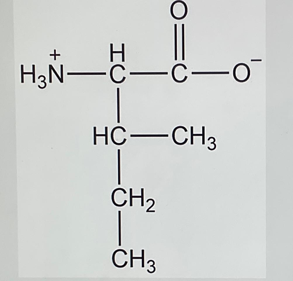  1)Identify the amino acid 2)Identify the 3 letter abbreviation 3)Identify the