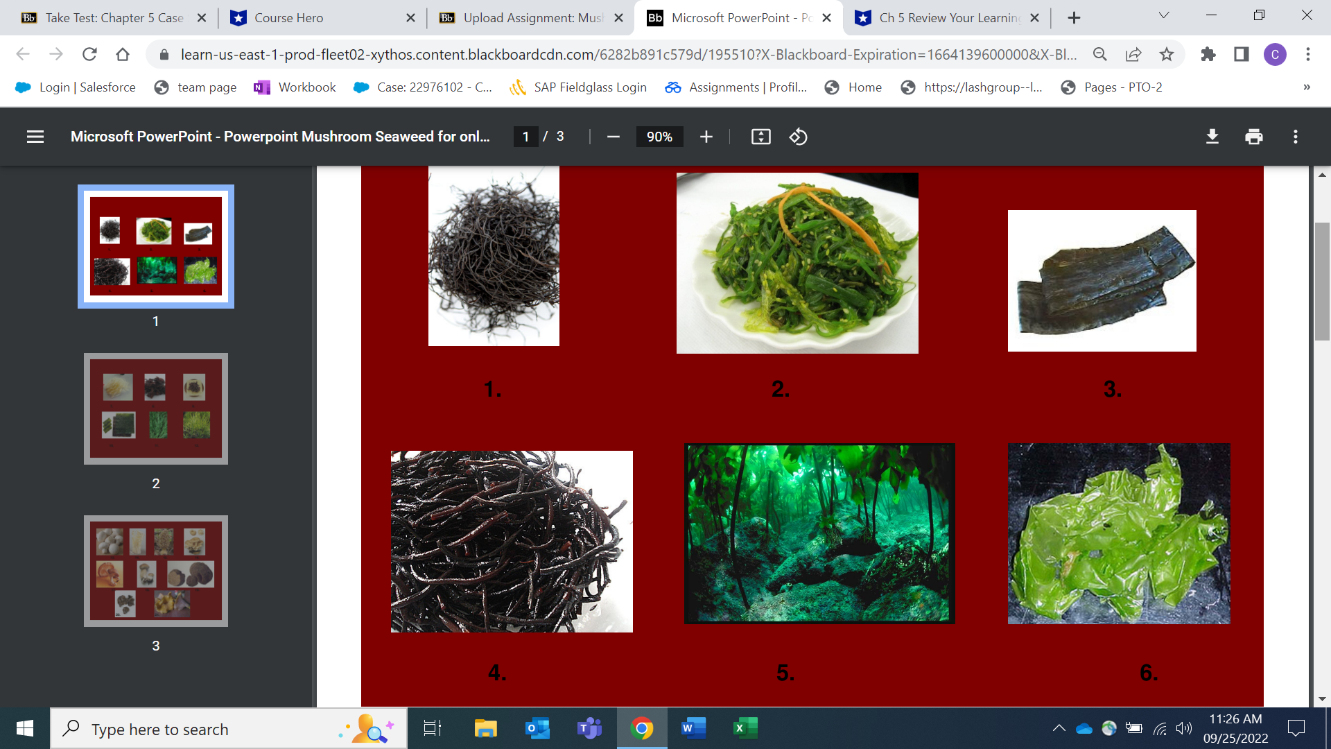  Bb Take Test: Chapter 5 Case X Course Hero X Bb