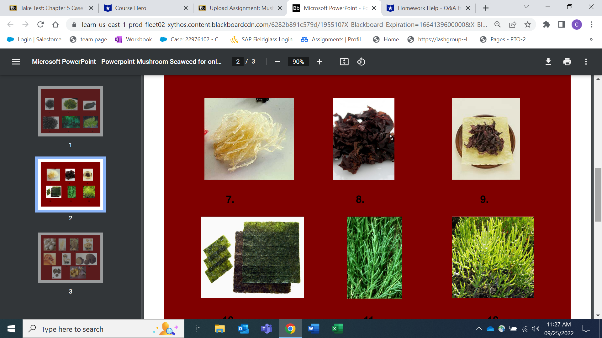 Upload Assignment: Must X Bb Microsoft PowerPoint - Pc X *Ch 5