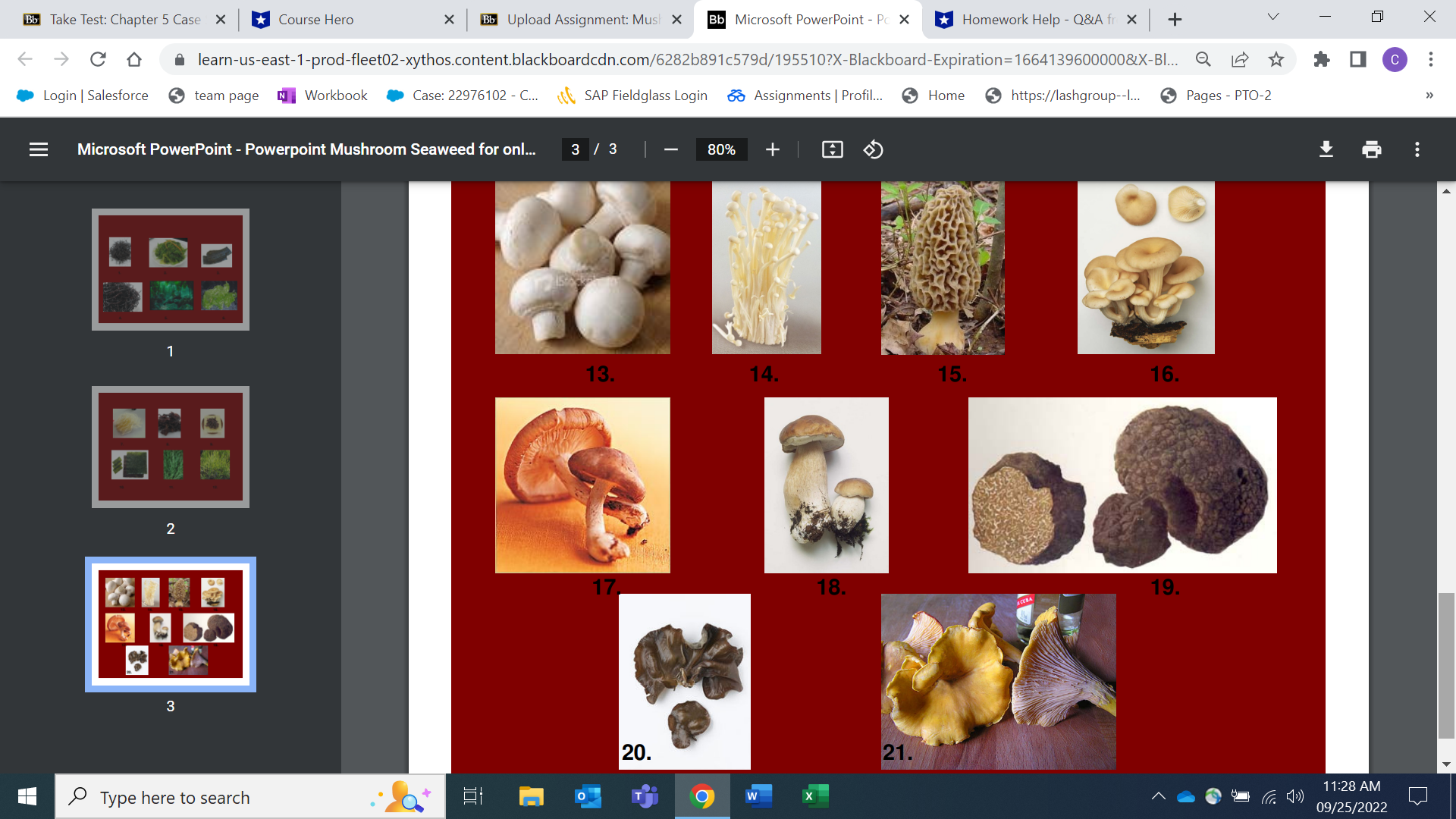 Review Your Learning X + V X C D A learn-us-east-1-prod-fleet02-xythos.content.blackboardcdn.com/6282b891c579d/195510?X-Blackboard-Expiration=1664139600000&X-BI... @