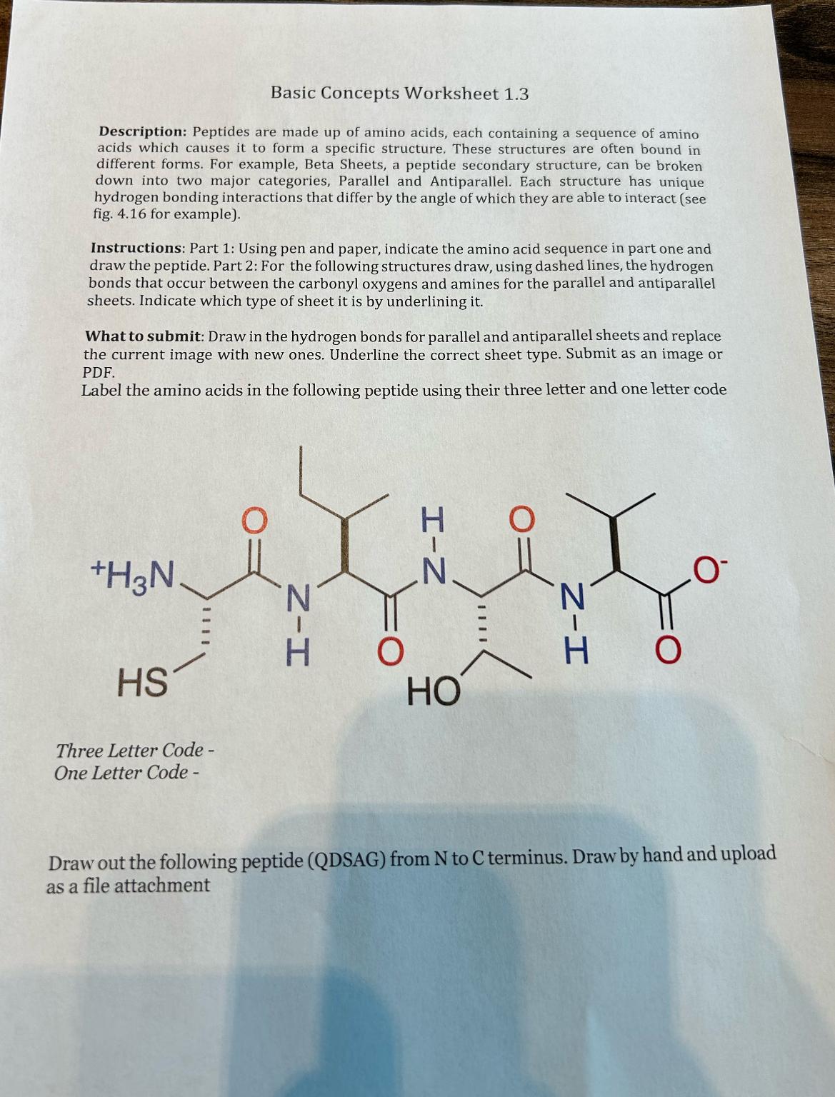  Basic Concepts Worksheet 1.3 Description: Peptides are made up of amino