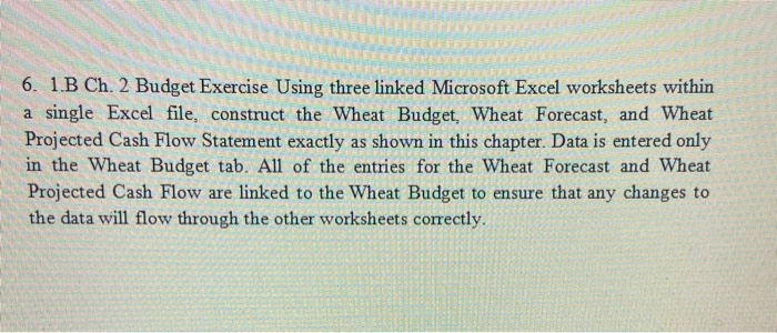  . 6. 1.B Ch. 2 Budget Exercise Using three linked Microsoft