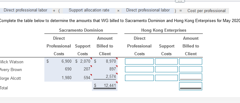  Direct professional labor Support allocation rate Direct professional labor 
