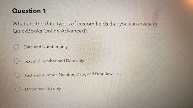  Question 1 What are the data types of custom fields that