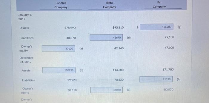 COMPANY Owner's Equity Statement Sandhill Beta Psil Company Company Comparvy January 1.