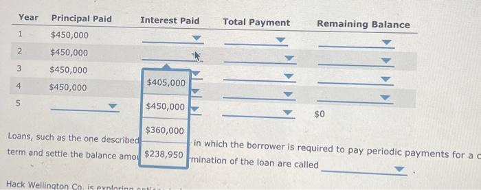 loans are most likely to be used because term loans are stocks