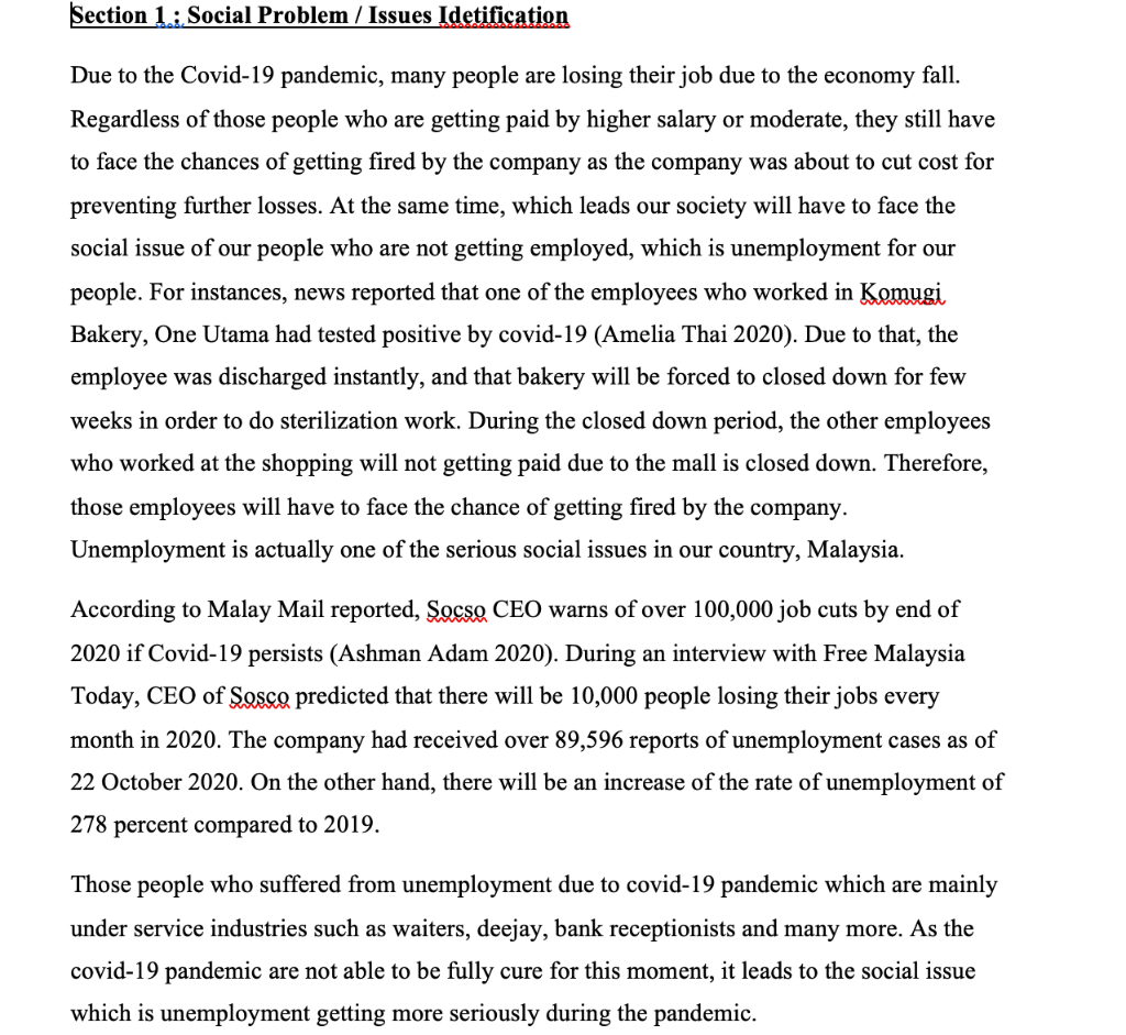 existing firm, will require a business plan in order to exploit opportunities,