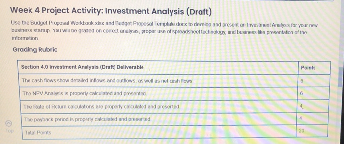  Week 4 Project Activity: Investment Analysis (Draft) Use the Budget Proposal