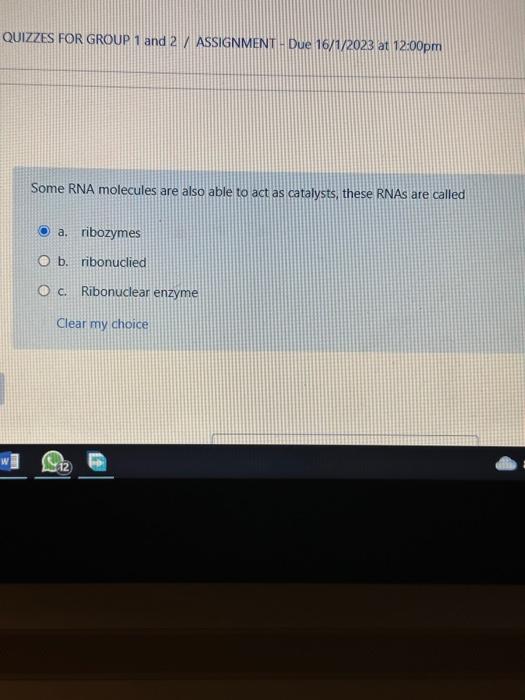  QUIZZES FOR GROUP 1 and 2 / ASSIGNMENT - Due 16/1/2023