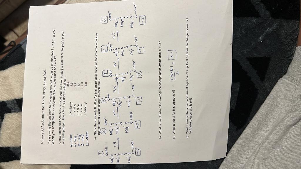 Please help with (b) and (d) Amino acid Assignment for Biochemistry Spring
