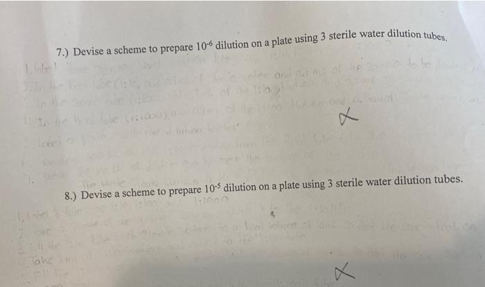 7.) Devise a scheme to prepare 106 dilution on a plate