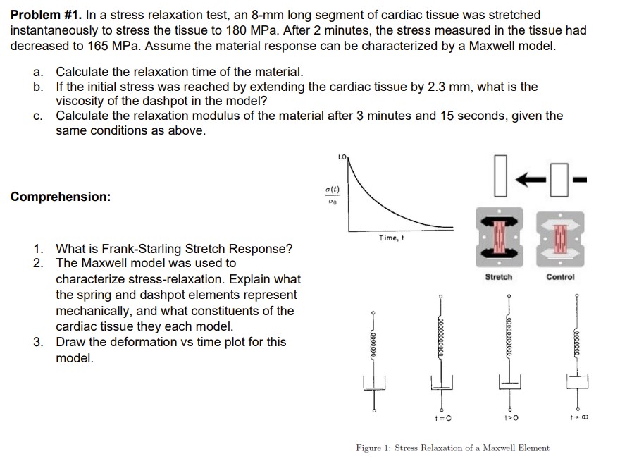  Problem #1. In a stress relaxation test, an 8-mm long segment