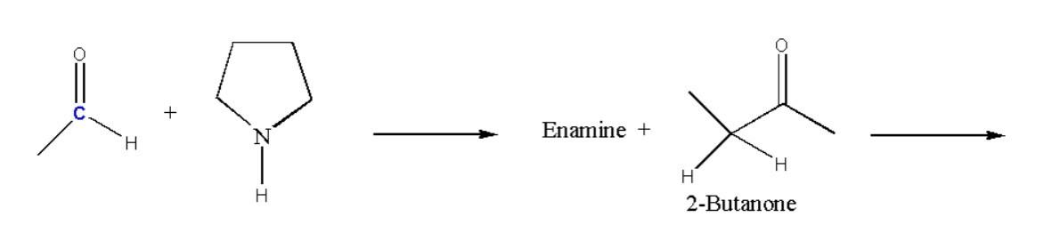 Complete the reaction Enamine + 2-Butanone
