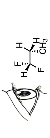 Using your model, construct an energy diagram to show the variation in