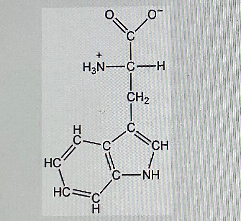  1)Identify the amino acid 2)Identify the 3 letter abbreviation 3)Identify the