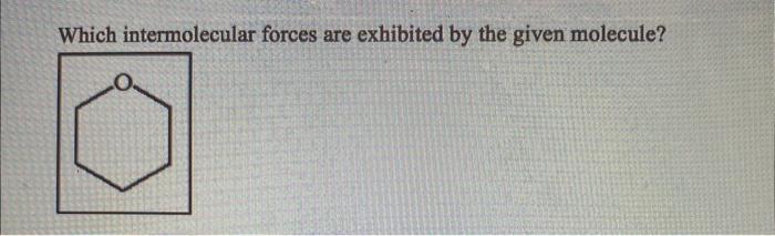  Which intermolecular forces are exhibited by the given molecule