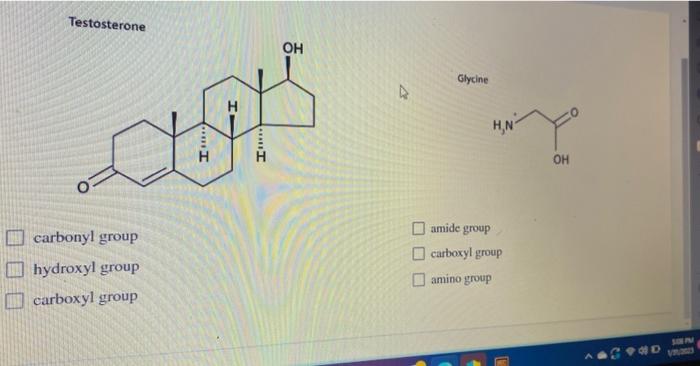 Identify the functional groups Testosterone carbonyl group hydroxyl group amide group carboxyl