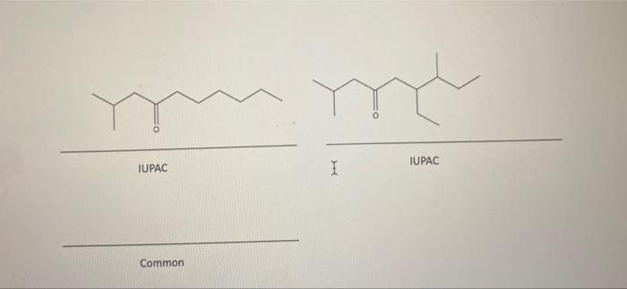 Common Common Question 4: Provide both the IUPAC and common names for