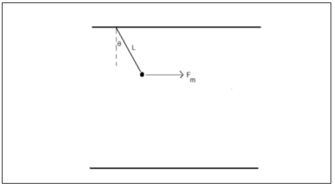  5. OK, one more time. This time the magnet has mass