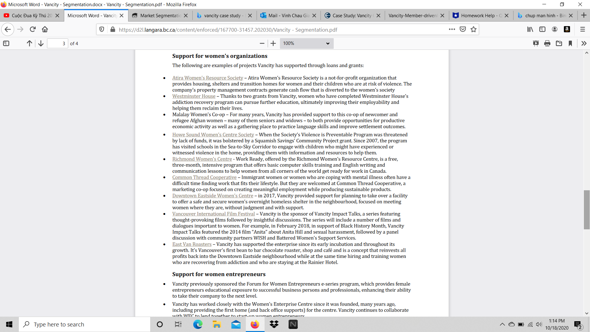 consumer market.b) Based on the VANCITY document provided, in your opinion, which