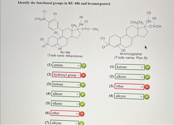 mine is incorect Identify the functional groups in RU 486 and