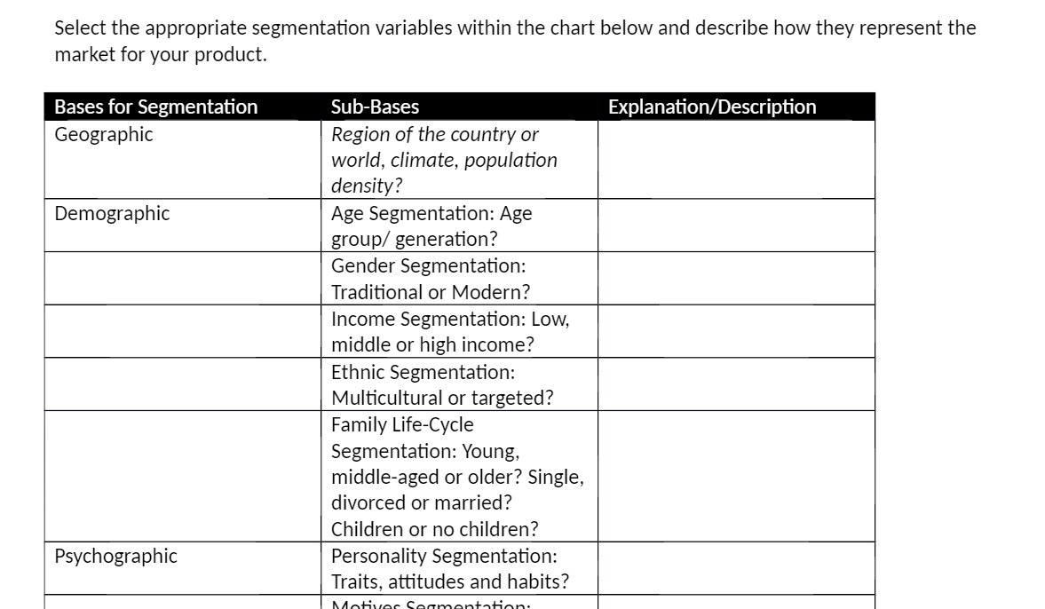 Select the appropriate segmentation variables within the chart below and describe