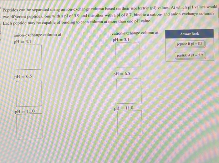  Peptides can be separated using an ion-exchange column based on their