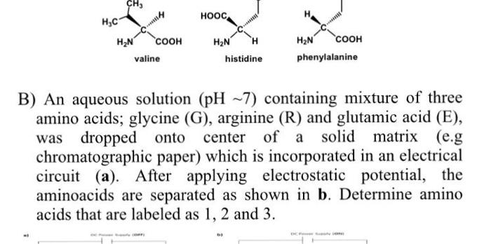 Biochemistry question. Please explain your answer CH3 , Hc H HUN COOH