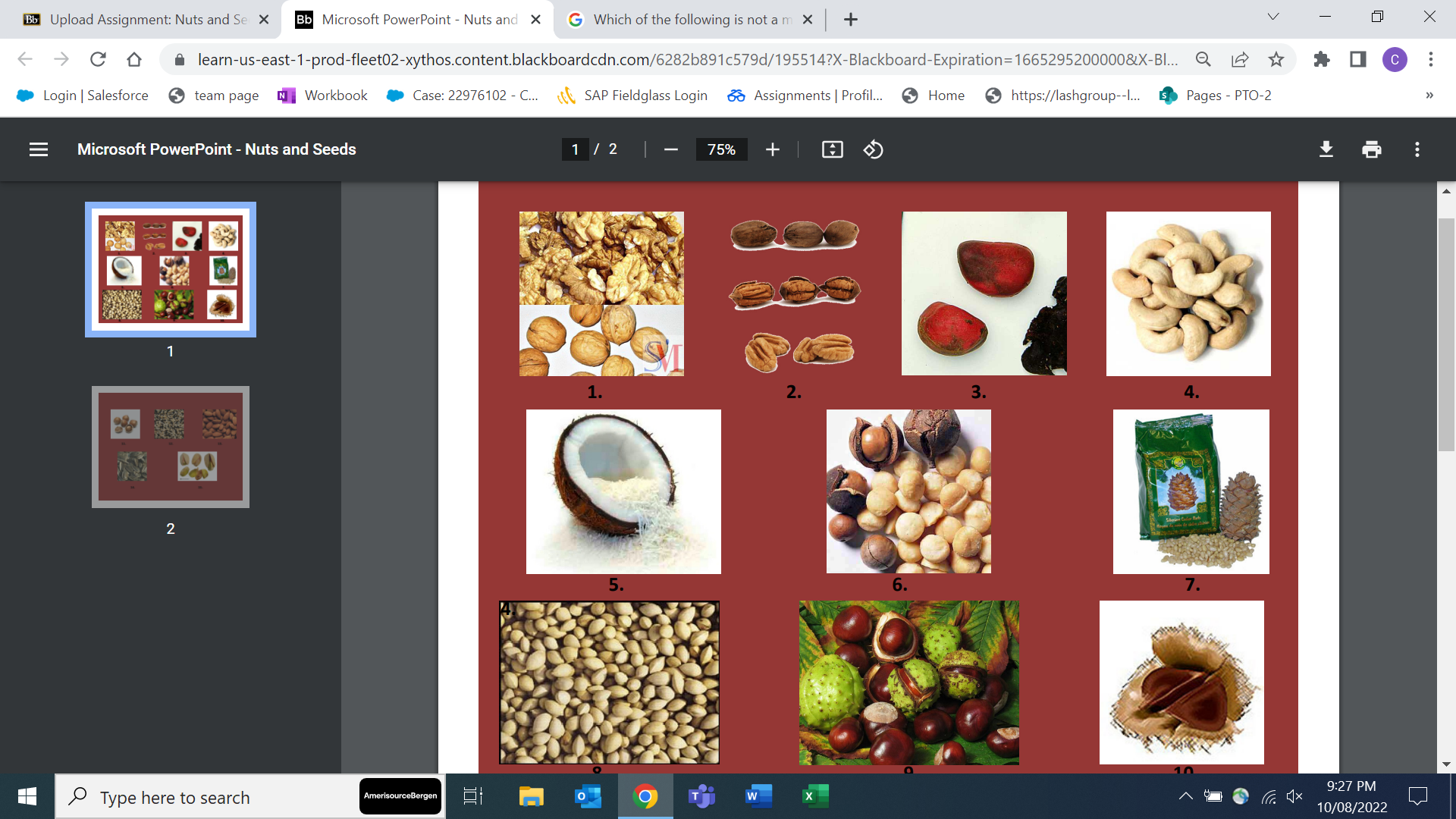  Bb Upload Assignment: Nuts and Se X Bb Microsoft PowerPoint -