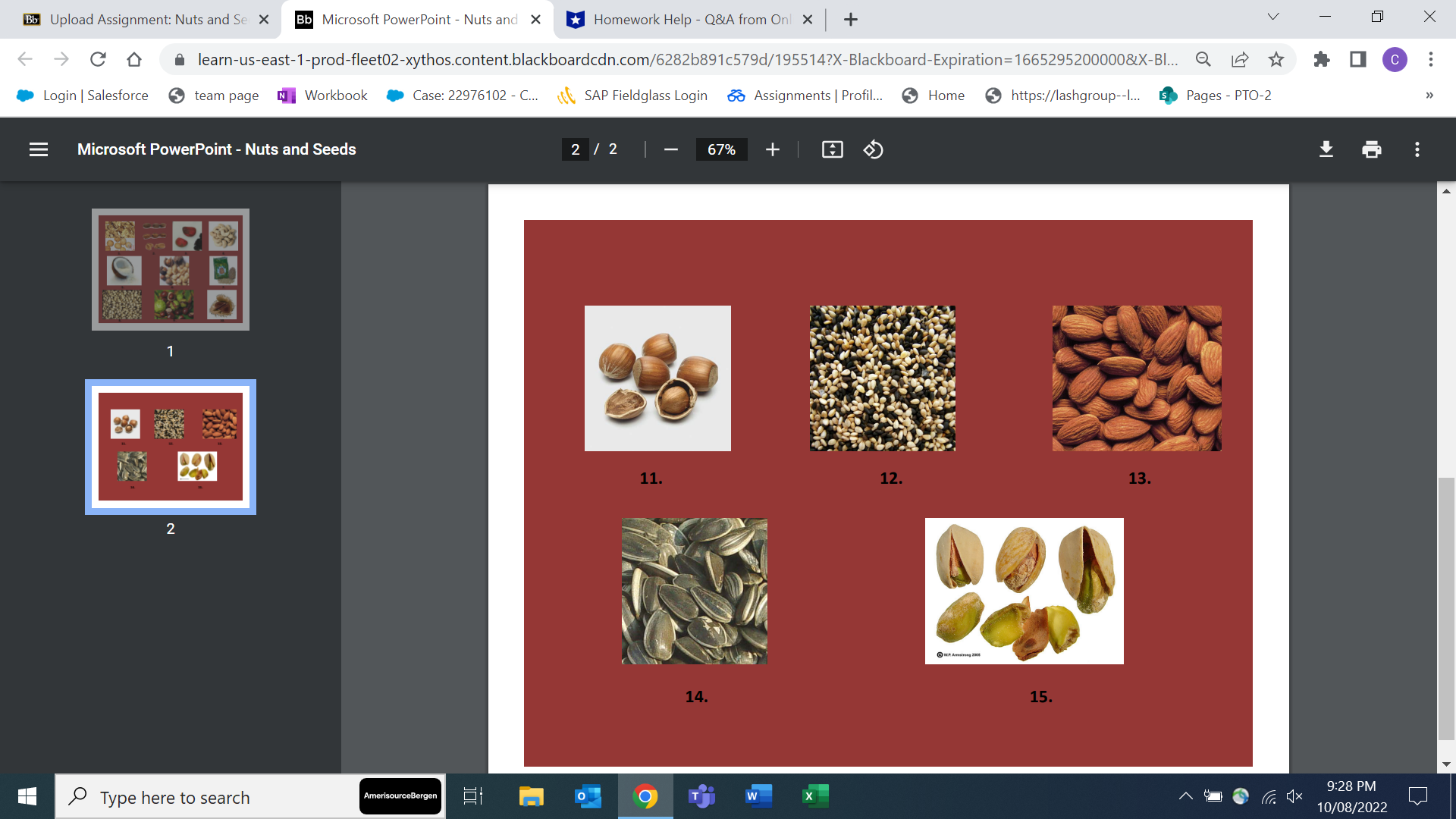 Nuts and X G Which of the following is not a m