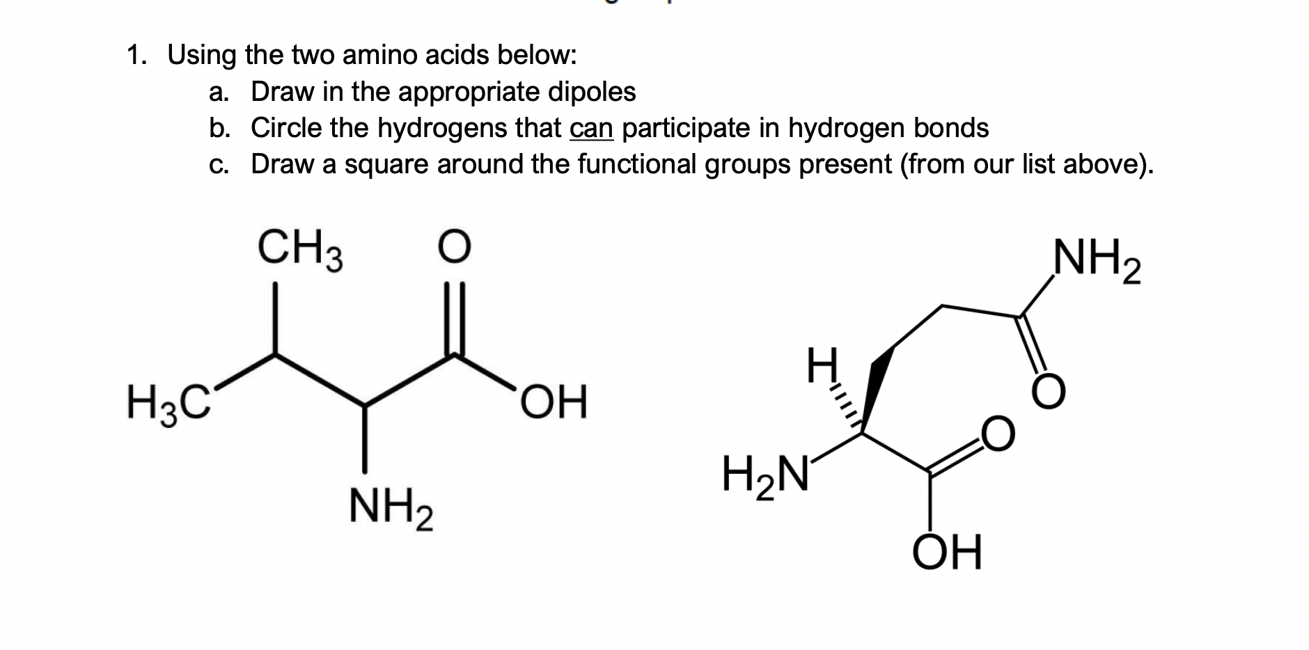 1. Using the two amino acids below: a. Draw in the