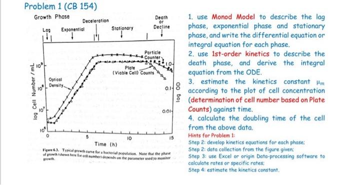  Problem 1 (CB 154) Growth Phase Deceleration Exponential Death or Decline