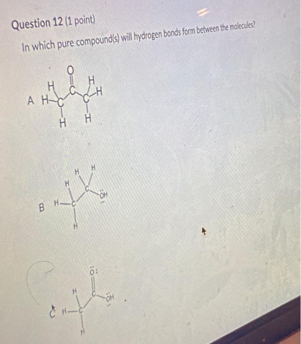  Question 12 (1 point) In which pure compound(s) will hydrogen bonds
