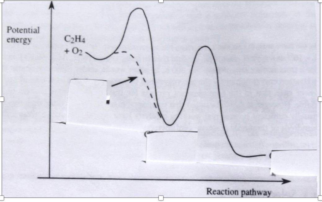 Fill in the products In the second and third rectangles in the