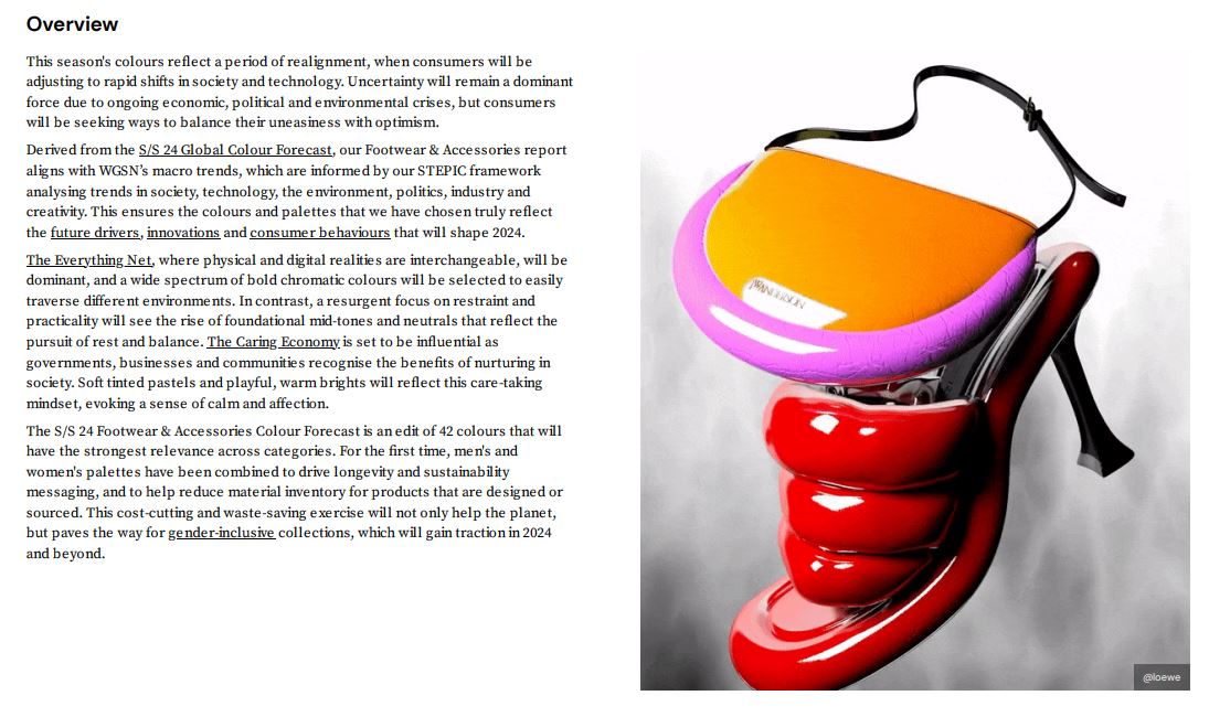 the most about the article?3. How it applies to styling?REFERENCE: WGSN Article