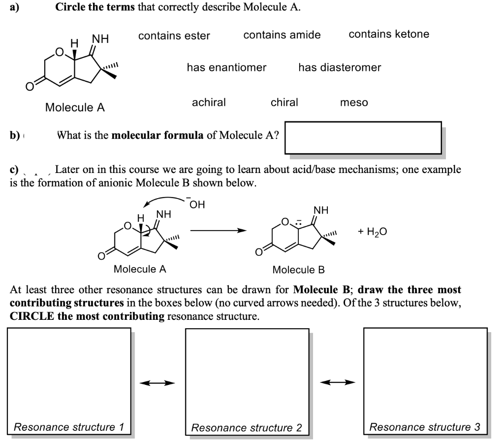 Circle the terms that correctly describe Molecule A. contains ester NH