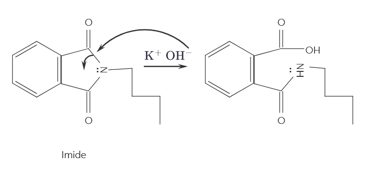  Very simple question: Where does the lone pair on the ring