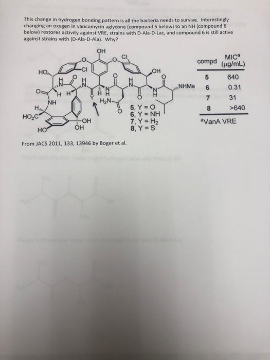 hydrogen bonding to D-ala-D-ala which is part of an intermediate in Bacterial