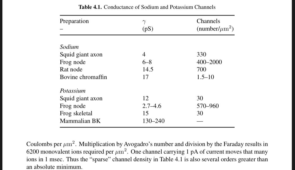 upvote 2. During the upstroke of an action potential in squid giant