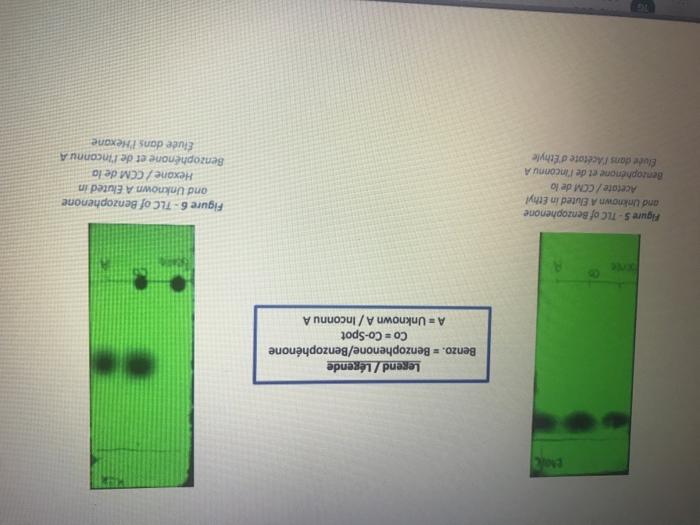 the Rf values of the compounds, and account for the appearance of