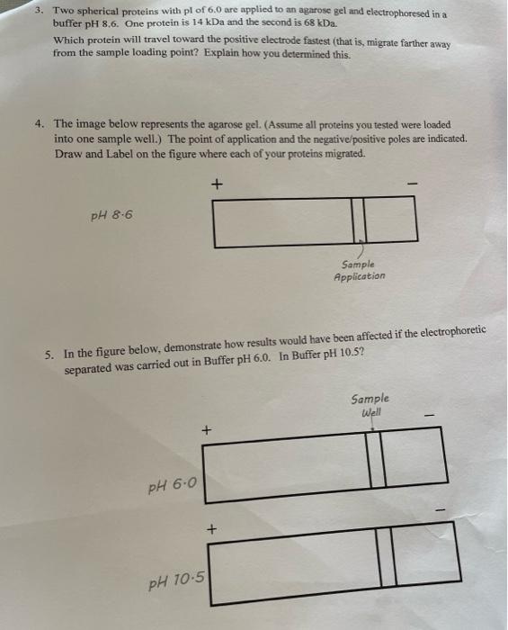 answer all if possible, please 3. Two spherical proteins with pl of