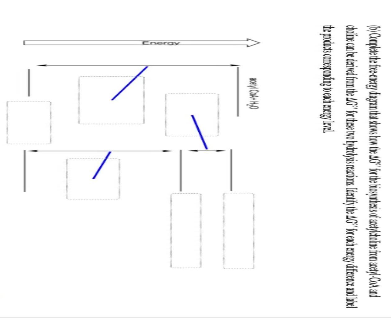 Final Flowrate = 50LPH t (s) H(calc) (cm) t (s) H(calc) (cm)