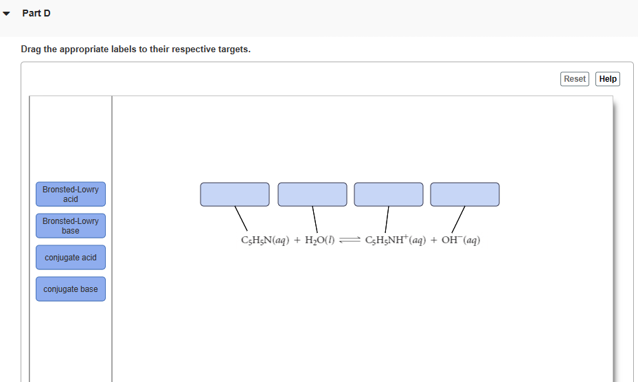 acid, the Bronsted-Lowry base, the conjugate acid, and the conjugate base. Drag