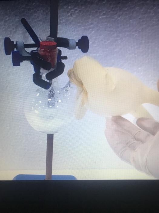 the reaction, a very colorful and visual experiment with plenty of activity