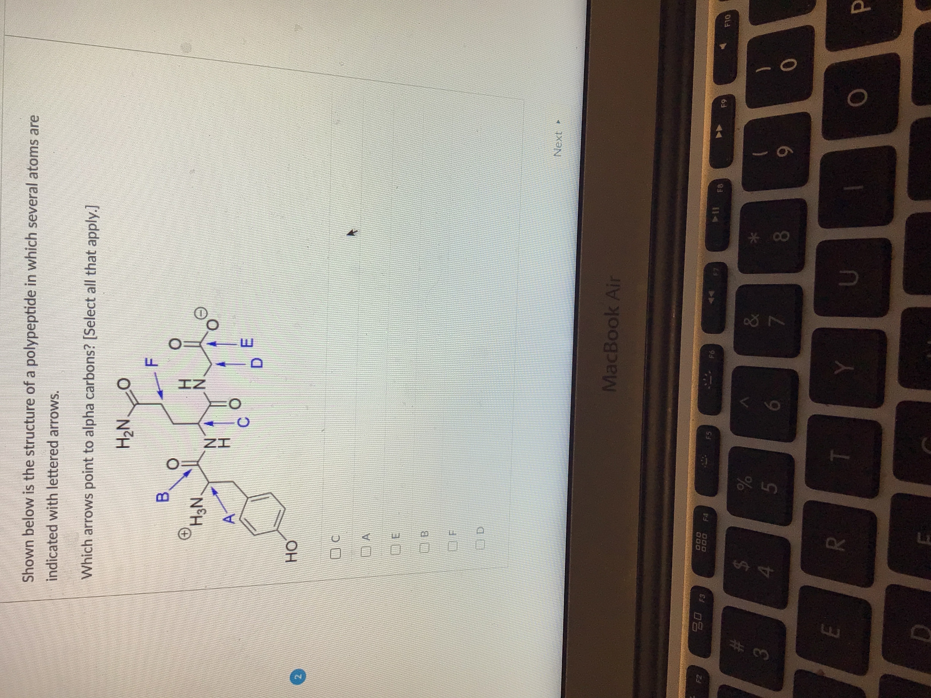  Shown below is the structure of a polypeptide in which several