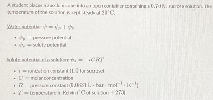 A student places a zucchini cube into an open container containing