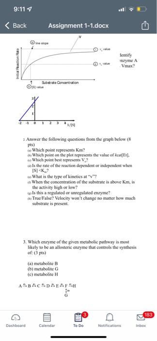  9:11 Back Assignment 1-1.docx Initial Ricction Rate Sentify nzyme A Vmax?