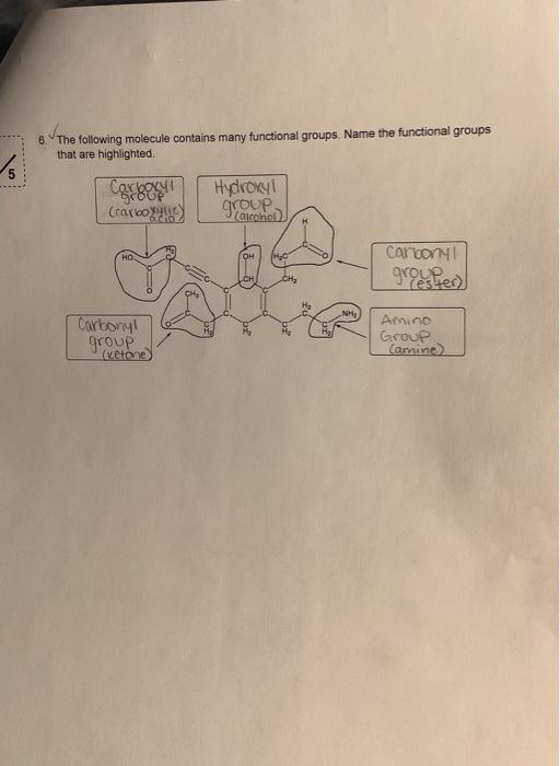 The following molecule contains many functional groups. Name the functional groups